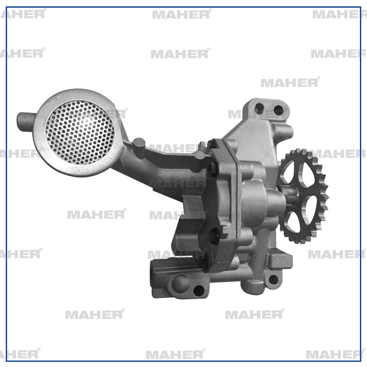 Citroen Berlingo Yağ Pompa OEM 1001C1